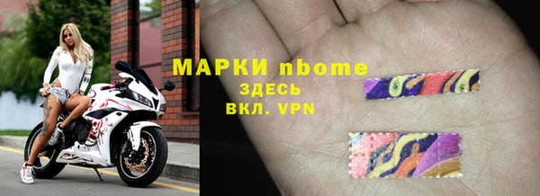 гашик Арсеньев