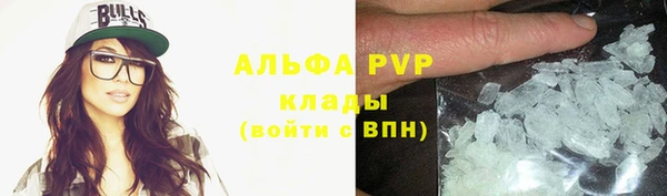 гашик Арсеньев