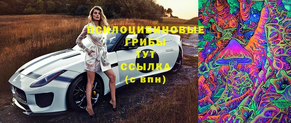 гашик Арсеньев